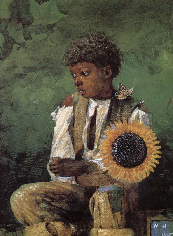 Winslow Homer Dedicated to the teacher s sunflower Germany oil painting art